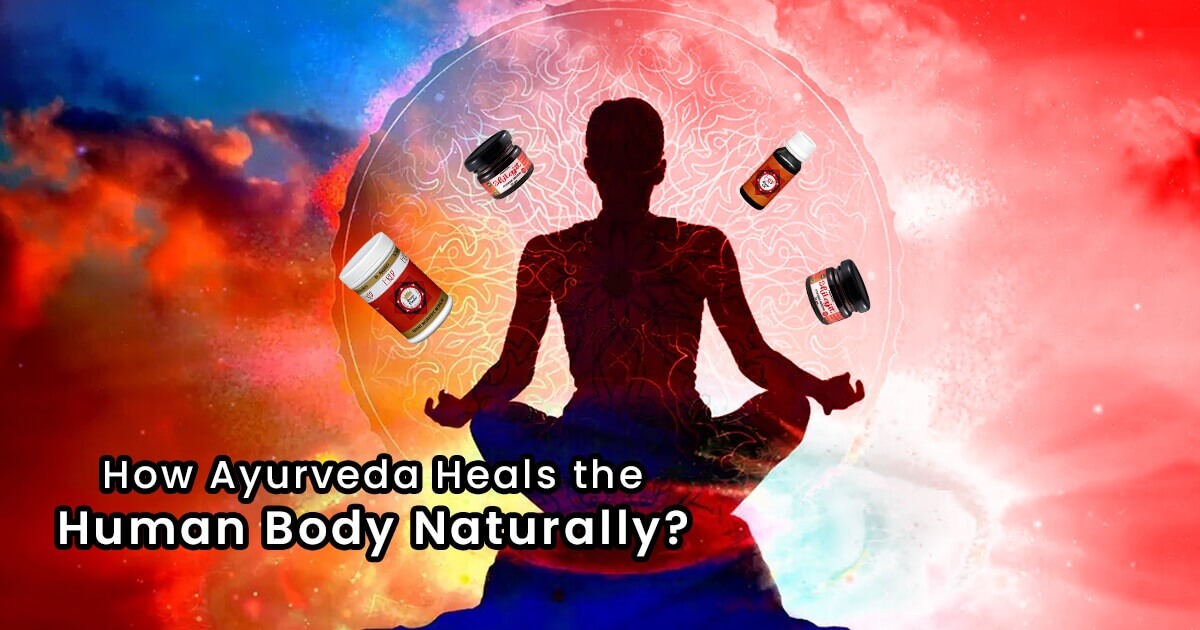 How Ayurveda Heals the Human Body Naturally? - Researched by Dr. Ajayita?